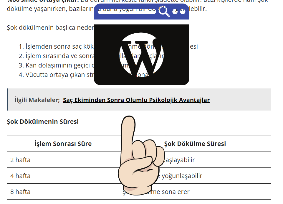 Wordpress Benzer Yazılar Eklentisi