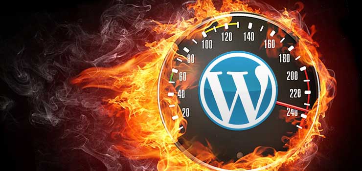 Wordpress Hızlandırma